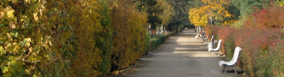 Zinnowitzer Promenade im Herbst