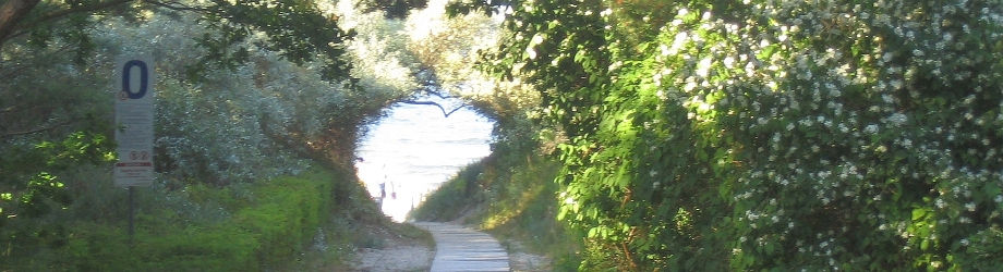Weg zum Strand bei Zinnowitz